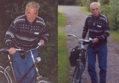 PIET VAN MALSEN